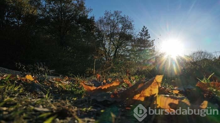 Gölcük Tabiat Parkı'ndan kartpostallık görüntüler