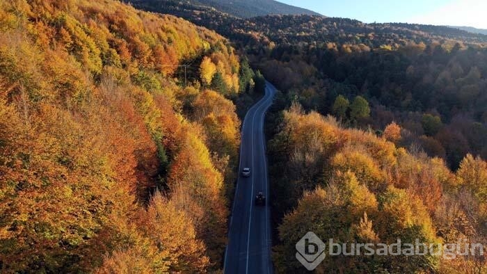 Gölcük Tabiat Parkı'ndan kartpostallık görüntüler