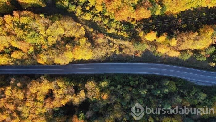 Gölcük Tabiat Parkı'ndan kartpostallık görüntüler