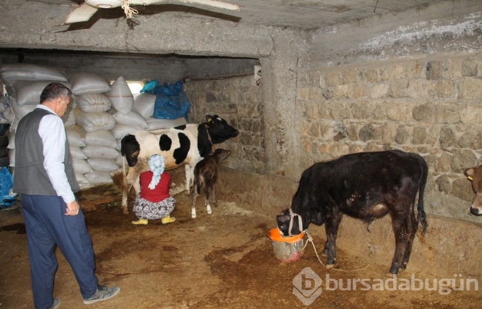 Hayvancılıktan elde ettikleri gelirle 35 ülke gezdiler
