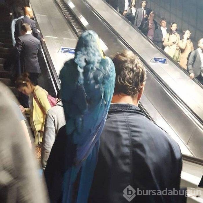 İnsanların birbirinden şaşırtıcı ve komik halleri