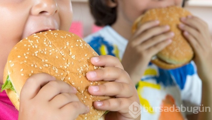 Ünlü fast food markalarının ürünlerinin çoğunda zehirli kimyasallar bulundu!