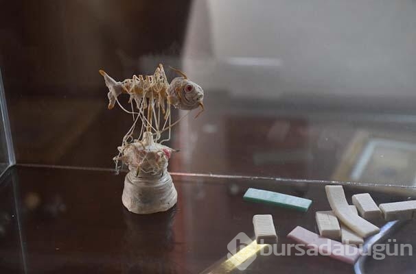 Çiğnenmiş atık sakızlar sanat eserine dönüştü
