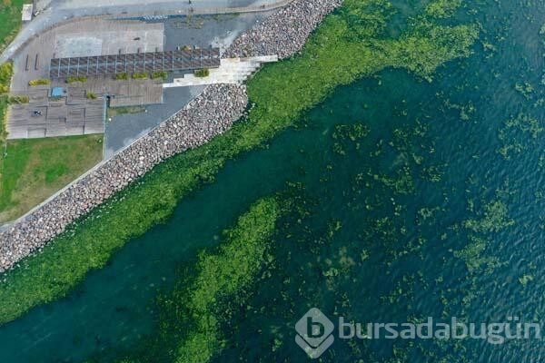 İzmir Körfezi'nde endişelendiren görüntü