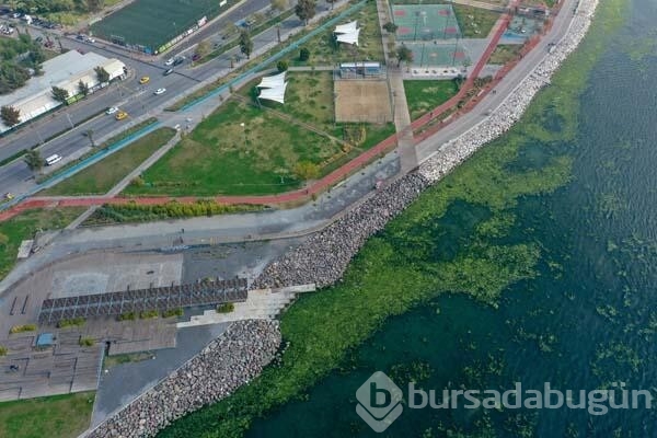 İzmir Körfezi'nde endişelendiren görüntü