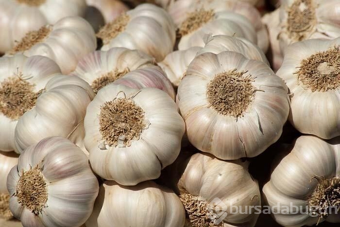 Kan şekerini düşürmeye yardımcı olacak besinler...