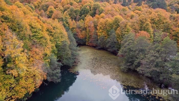 Bolu'nun doğa harikası göz kamaştırdı!