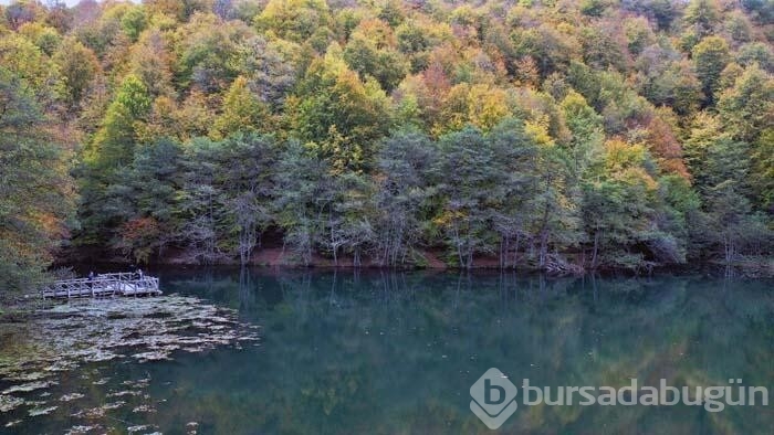 Bolu'nun doğa harikası göz kamaştırdı!