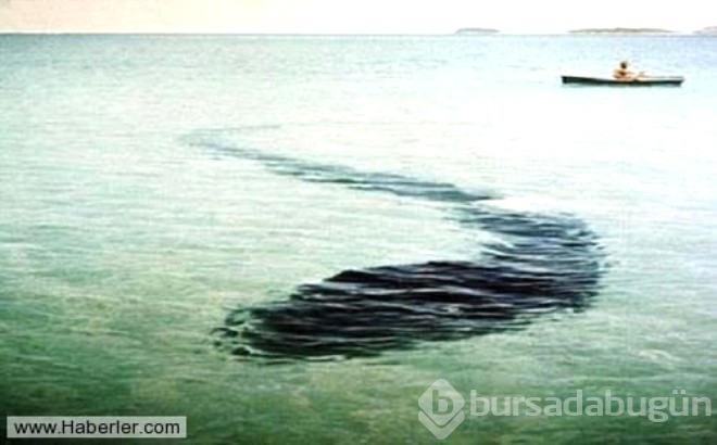 Sırrı çözülemeyen gizemli fotoğraflar!
