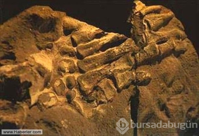 Sırrı çözülemeyen gizemli fotoğraflar!
