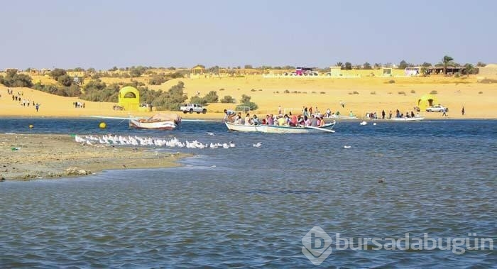 Mısır çölünde oluşan doğa harikası