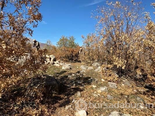 Şırnak'ta Eren Kış-1 Operasyonu başlatıldı