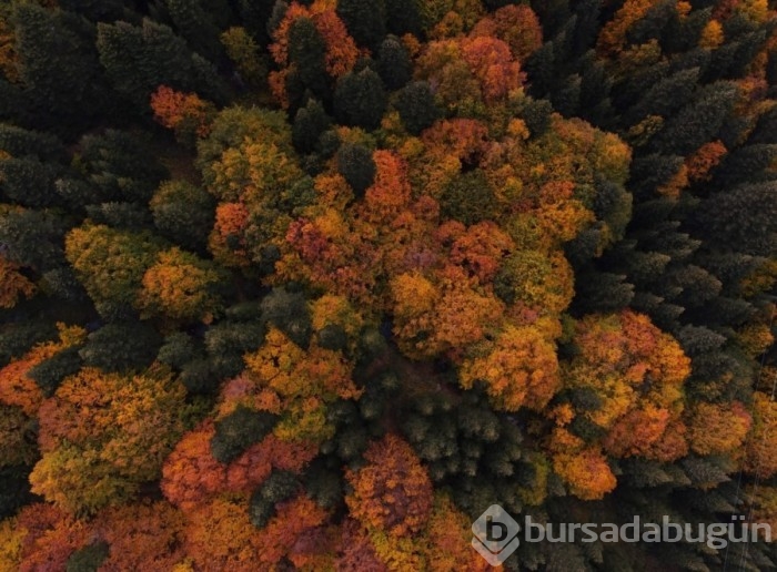 Bursa'da Uludağ için tehlike çanları çalıyor!