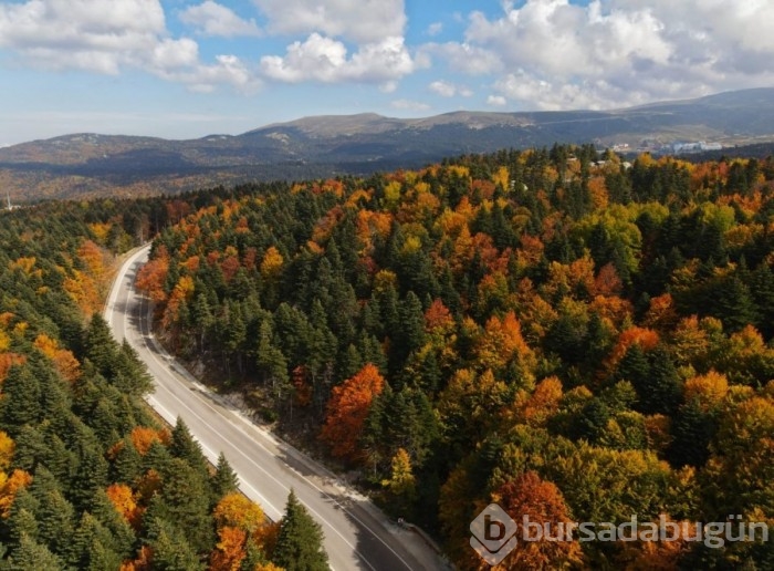 Bursa'da Uludağ için tehlike çanları çalıyor!