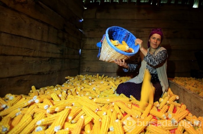 Karadeniz kadınlarından kışa hazırlık