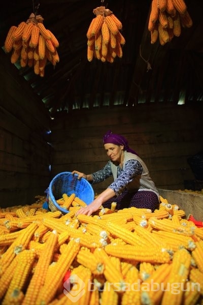 Karadeniz kadınlarından kışa hazırlık