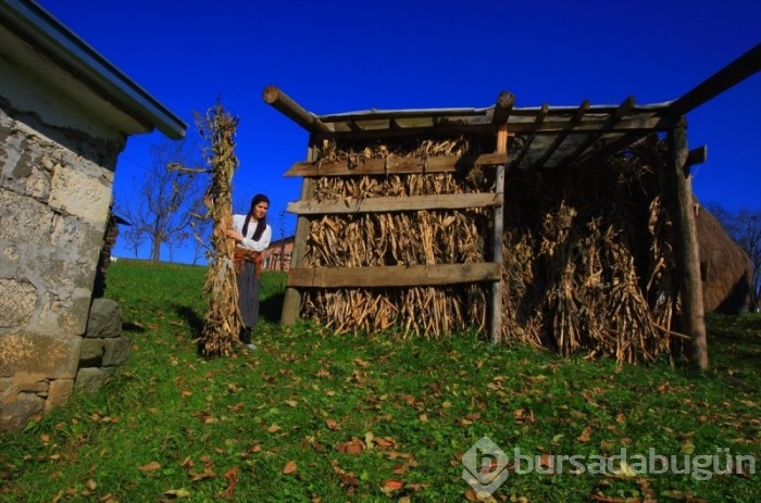 Karadeniz kadınlarından kışa hazırlık