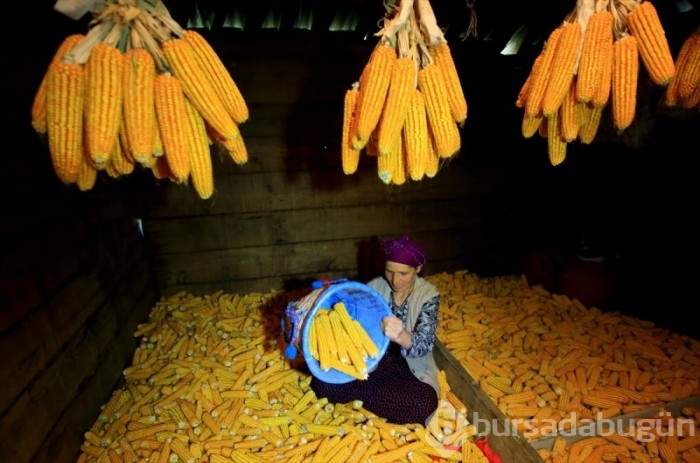 Karadeniz kadınlarından kışa hazırlık