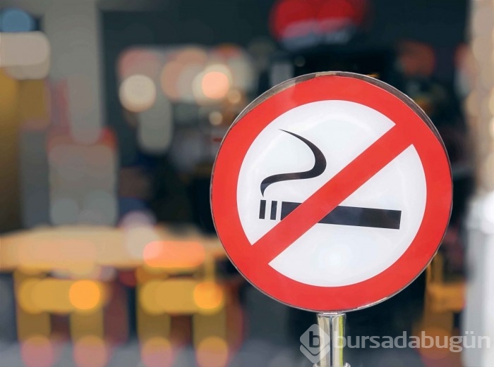 Kalbinizin sağlığı için bu alışkanlıkları edinin