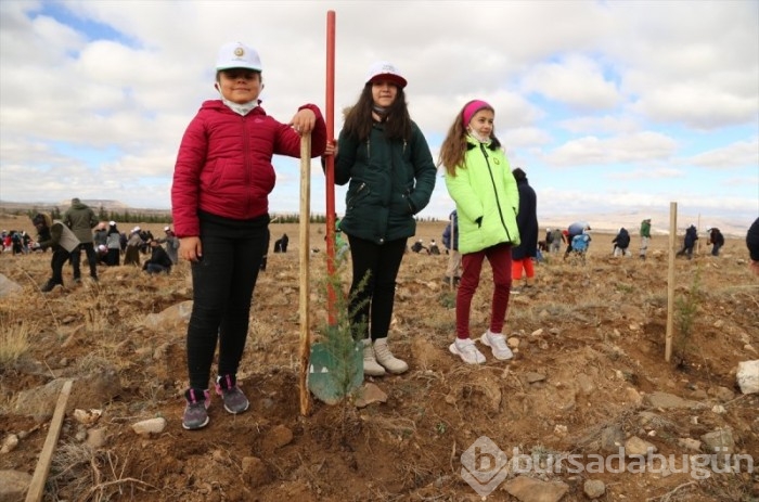 Milli Ağaçlandırma Günü'nde Türkiye'nin dört bir yanından fidan dikimi yapıldı