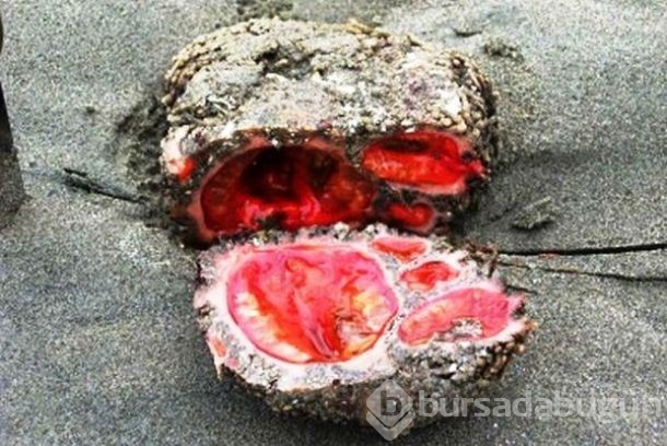 Doğanın ne kadar mucizeler ile dolu olduğunu gösteren doğa olayları...
