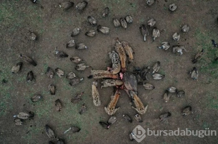 2021'in en iyi drone fotoğrafları