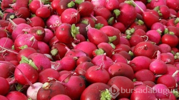 Turp hakkında nadir bilinen bilgiler
