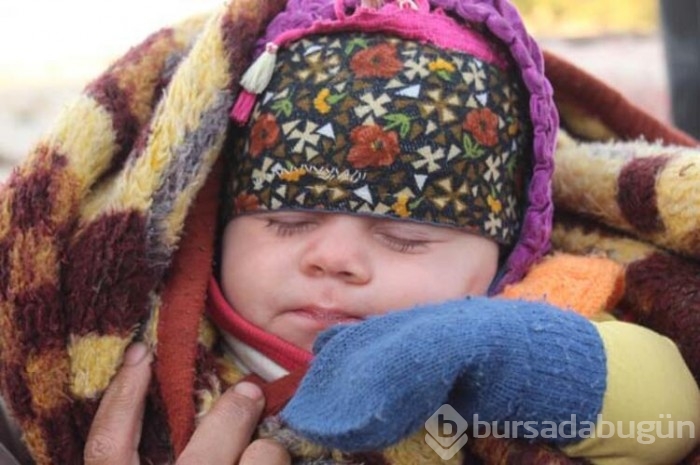En küçük Yörük'ün ilk göç yolculuğu başladı 