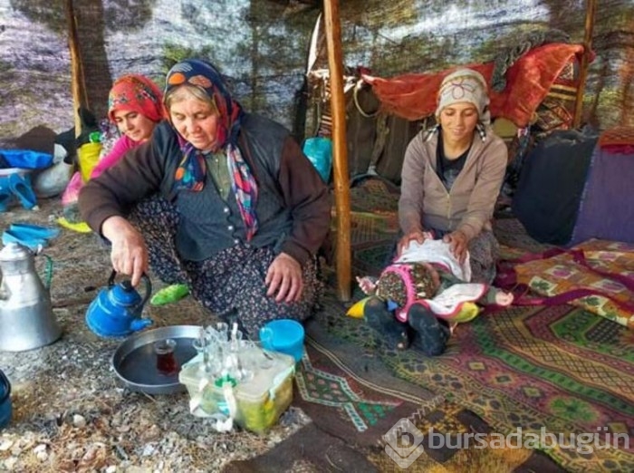 En küçük Yörük'ün ilk göç yolculuğu başladı 