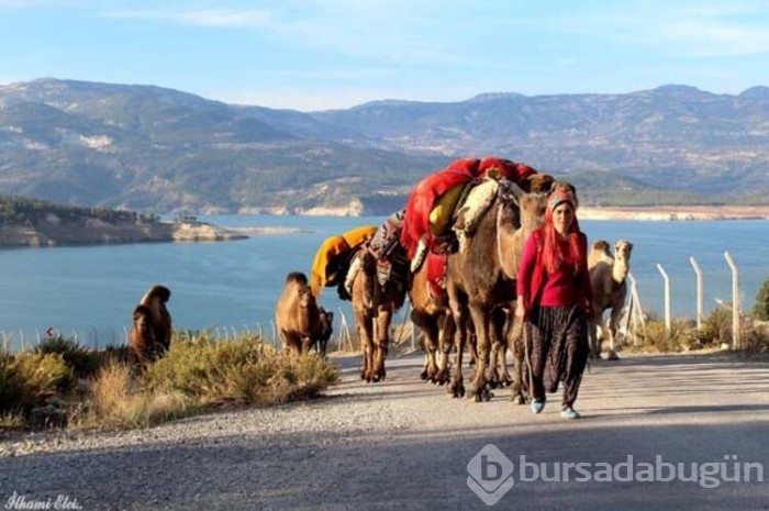 En küçük Yörük'ün ilk göç yolculuğu başladı 