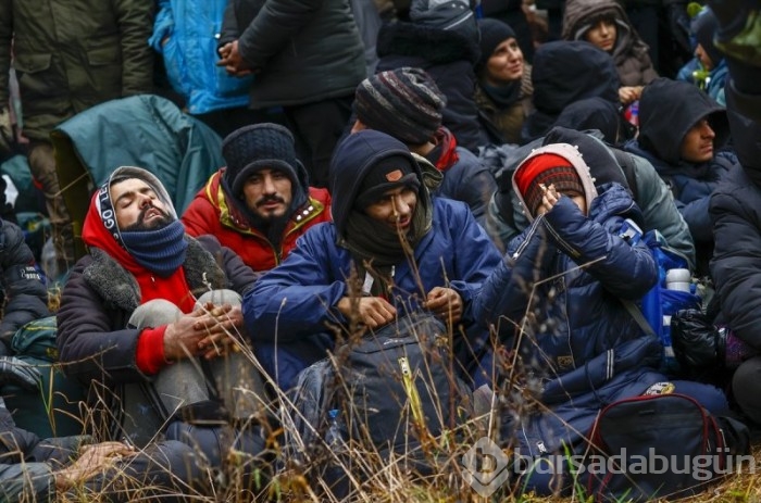 Belarus-Polonya sınırında olan göçmenlerin hayat mücadelesi