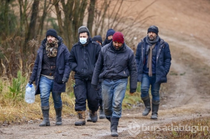 Belarus-Polonya sınırında olan göçmenlerin hayat mücadelesi