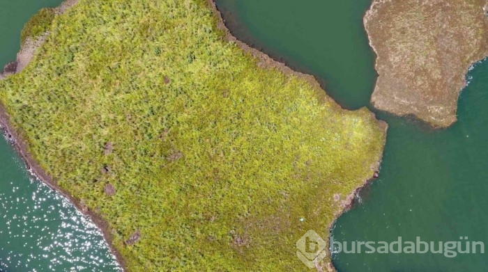 Adıyaman'da binlerce yılda oluşan yüzen adalar, atmosferi koruyor

