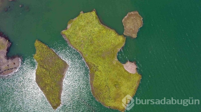 Adıyaman'da binlerce yılda oluşan yüzen adalar, atmosferi koruyor
