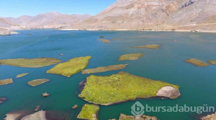 Adıyaman'da binlerce yılda oluşan yüzen adalar, atmosferi koruyor
