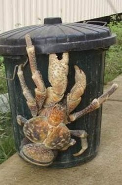Dünyada hiç görünmeyen hayvan türleri...