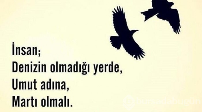 Güzel, etkileyici sözler...