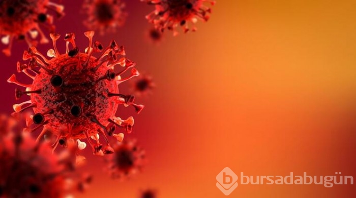 Dünyayı alarma geçiren 'Omicron' şu ana kadar hangi ülkelerde görüldü?
