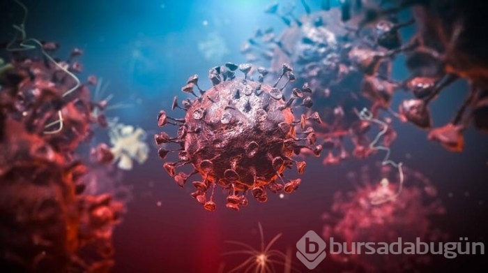 Dünyayı alarma geçiren 'Omicron' şu ana kadar hangi ülkelerde görüldü?
