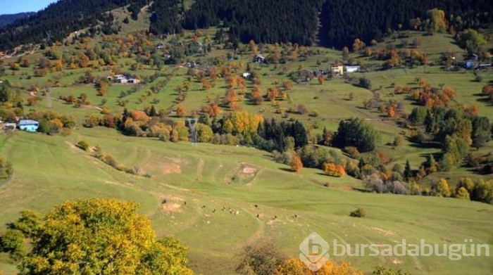 Şehrin gürültüsünden kaçan oraya koşuyor! 