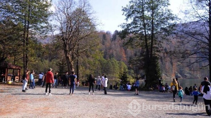 Şehrin gürültüsünden kaçan oraya koşuyor! 