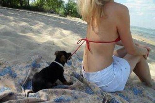 En komik ve tuhaf fotoğraflar