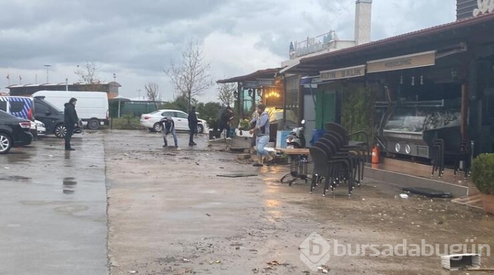 Yalova sahilde su samuru görüldü