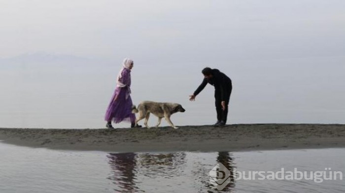 Van Gölü ziyaretçileri tarafından 200 metre açığa yürüdü!