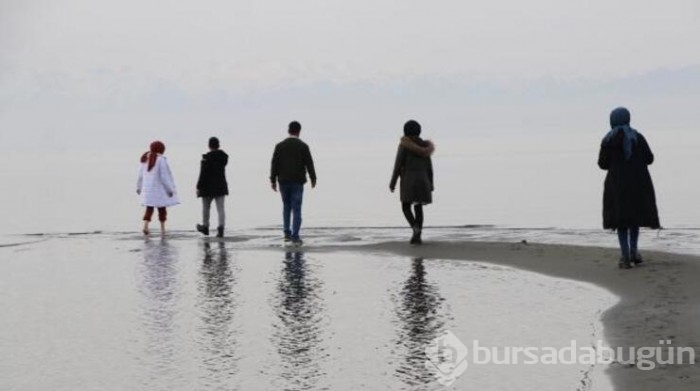 Van Gölü ziyaretçileri tarafından 200 metre açığa yürüdü!