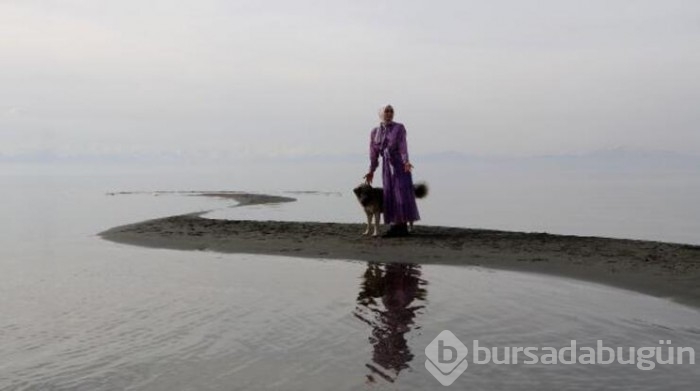 Van Gölü ziyaretçileri tarafından 200 metre açığa yürüdü!