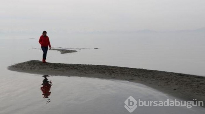 Van Gölü ziyaretçileri tarafından 200 metre açığa yürüdü!