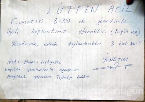Çılgın türkler güldürüyor...