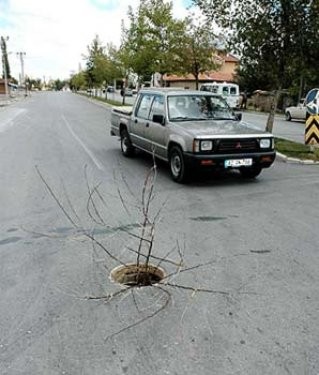 Çılgın türkler güldürüyor...