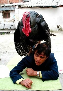 Çılgın türkler güldürüyor...